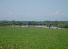 Rustic land